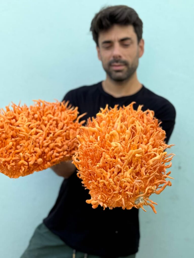 Federico Calaroto, creador de Hongos Argentinos